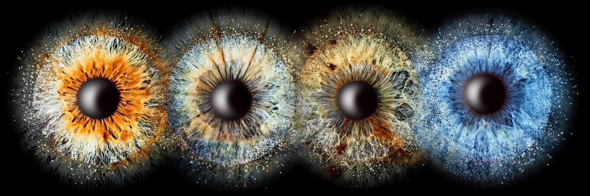 Irisfoto Rainer Mueller Fotografie 4er combination Panorama